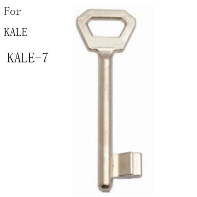 R-098 Zinc Door key blanks Supplier Oscar Xianpai kale-7