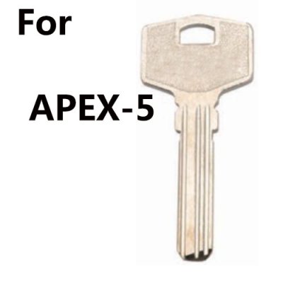 O-123 For APEX-5 House Blank key suppliers