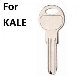 R-229 For kale House key blanks suppliers