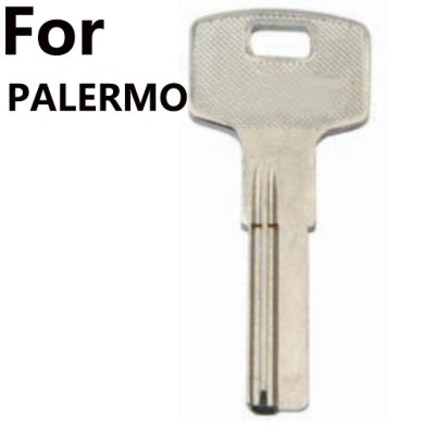 Y-303 For PALERMO House key blanks Suppliers